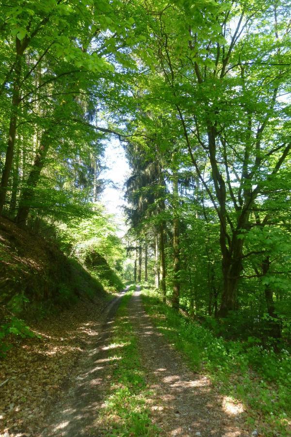 Moselschiefer Neu Ab Mai 2023 Daire Traben-Trarbach Dış mekan fotoğraf